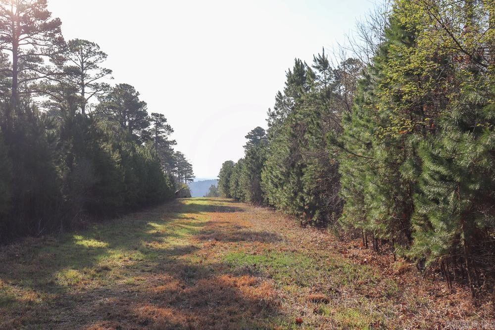 Photo 20 - Vacant Land for sale – 0000  Union Hill   Pleasant Plains, AR