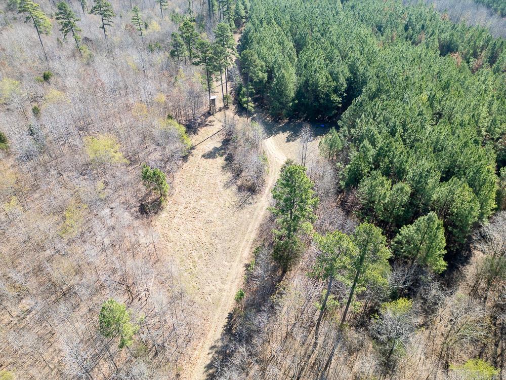 Photo 3 - Vacant Land for sale – 0000  Union Hill   Pleasant Plains, AR