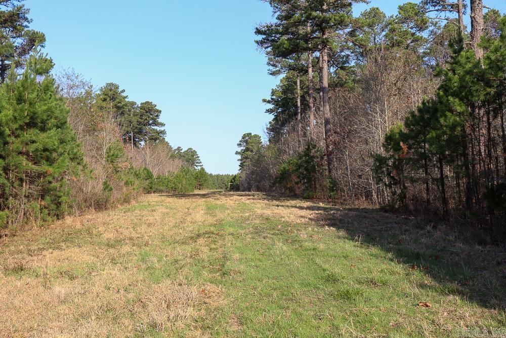 Photo 21 - Vacant Land for sale – 0000  Union Hill   Pleasant Plains, AR
