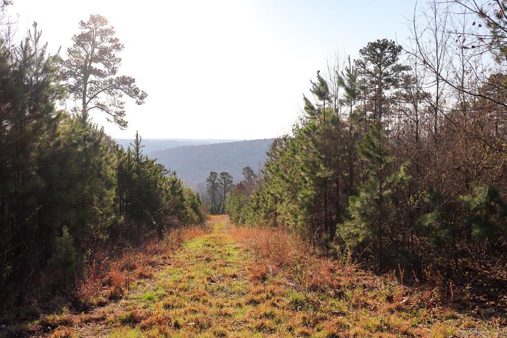 Photo 22 - Vacant Land for sale – 0000  Union Hill   Pleasant Plains, AR