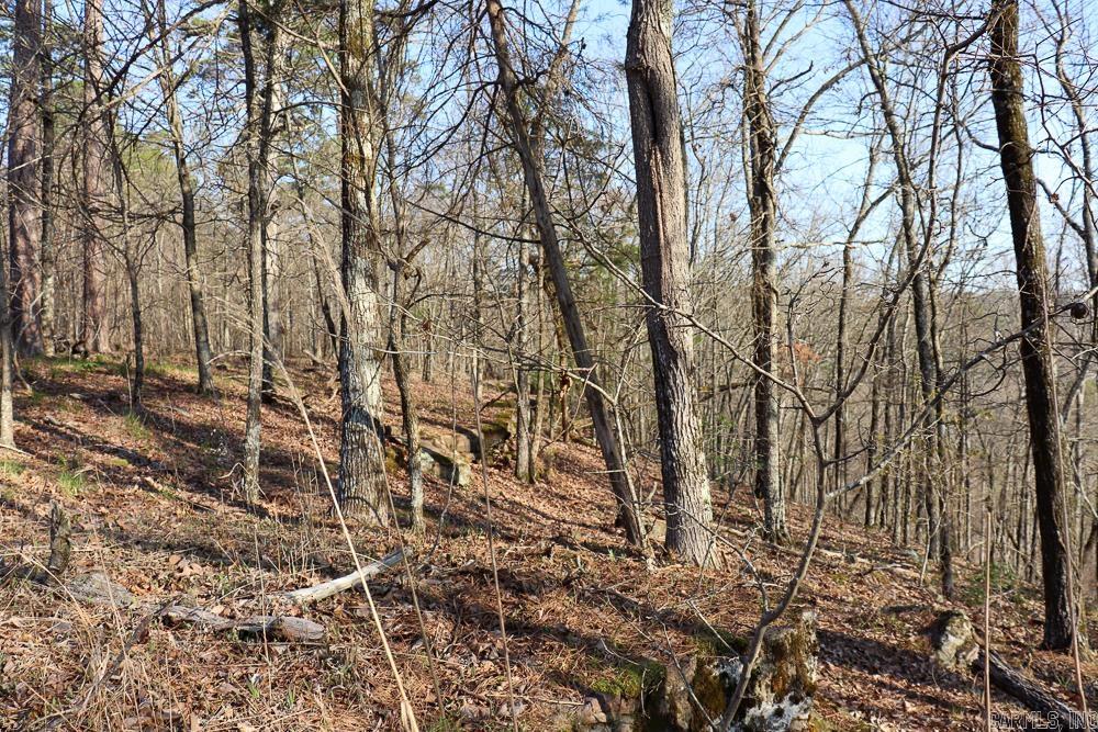 Photo 23 - Vacant Land for sale – 0000  Union Hill   Pleasant Plains, AR