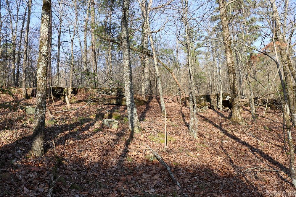 Photo 24 - Vacant Land for sale – 0000  Union Hill   Pleasant Plains, AR