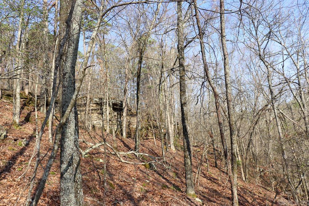 Photo 25 - Vacant Land for sale – 0000  Union Hill   Pleasant Plains, AR