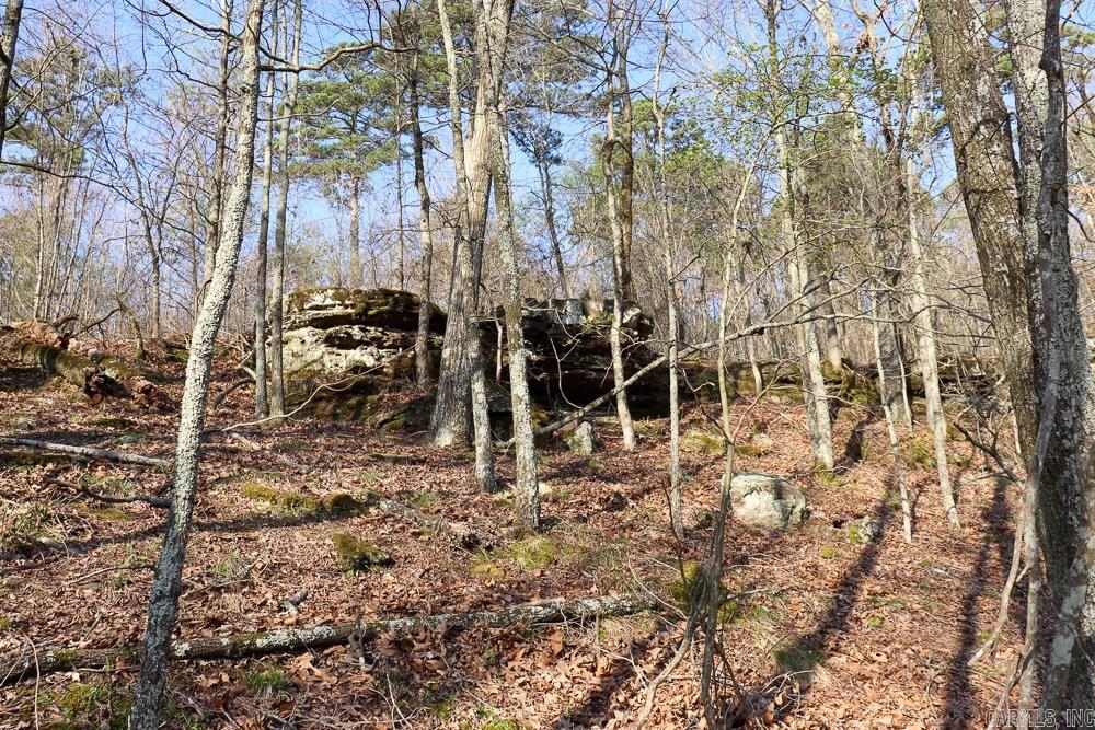 Photo 26 - Vacant Land for sale – 0000  Union Hill   Pleasant Plains, AR