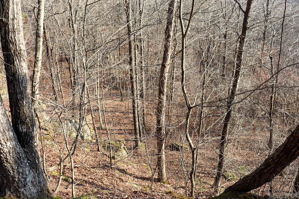 Photo 29 - Vacant Land for sale – 0000  Union Hill   Pleasant Plains, AR