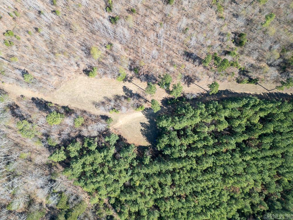 Photo 4 - Vacant Land for sale – 0000  Union Hill   Pleasant Plains, AR