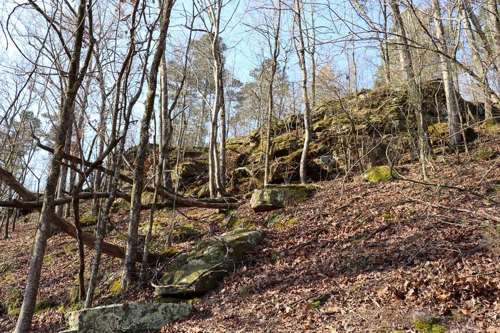 Photo 31 - Vacant Land for sale – 0000  Union Hill   Pleasant Plains, AR