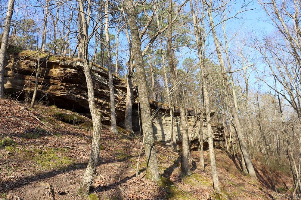 Photo 32 - Vacant Land for sale – 0000  Union Hill   Pleasant Plains, AR