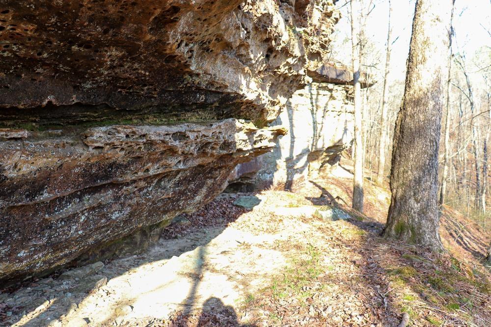 Photo 33 - Vacant Land for sale – 0000  Union Hill   Pleasant Plains, AR