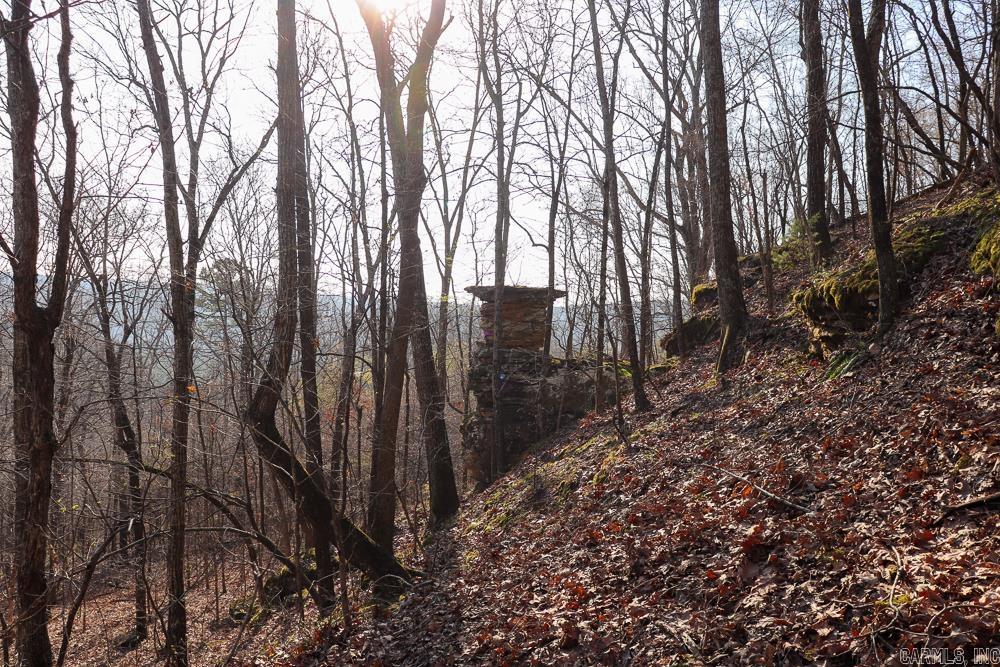 Photo 34 - Vacant Land for sale – 0000  Union Hill   Pleasant Plains, AR