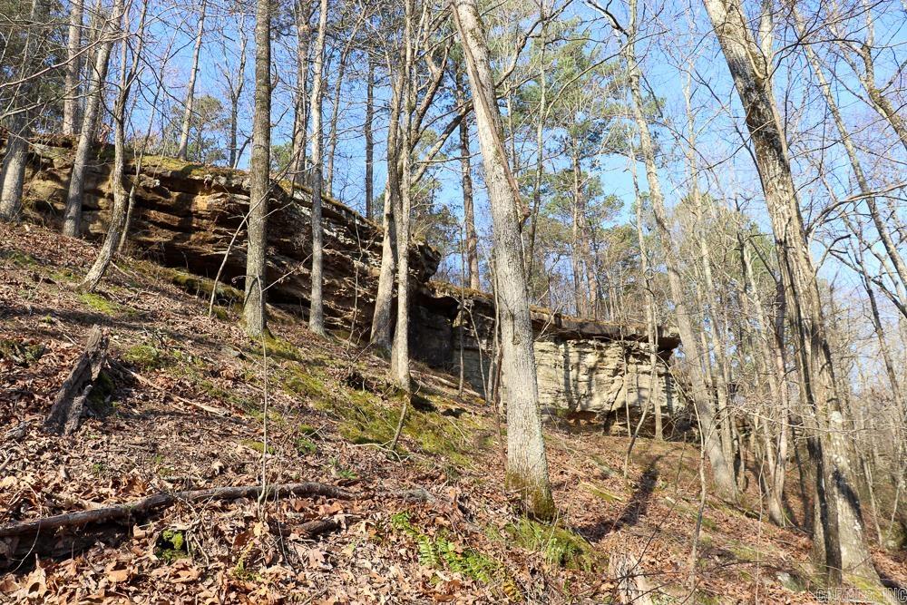 Photo 35 - Vacant Land for sale – 0000  Union Hill   Pleasant Plains, AR