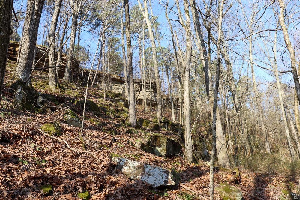 Photo 36 - Vacant Land for sale – 0000  Union Hill   Pleasant Plains, AR