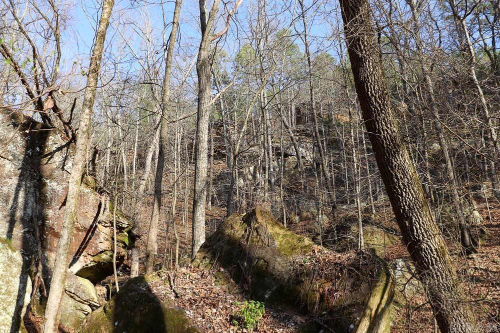 Photo 37 - Vacant Land for sale – 0000  Union Hill   Pleasant Plains, AR