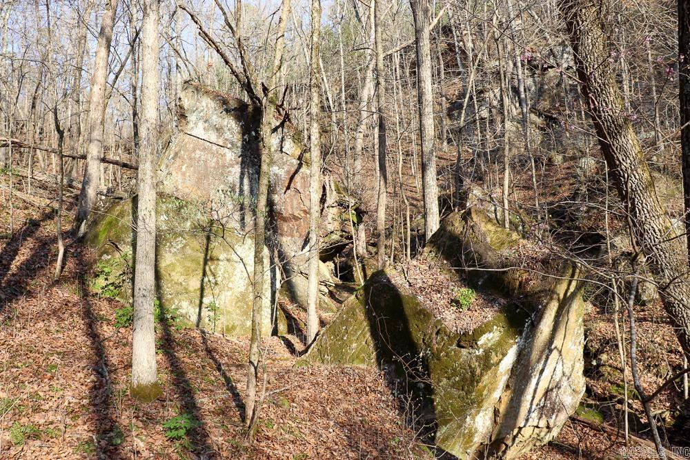 Photo 38 - Vacant Land for sale – 0000  Union Hill   Pleasant Plains, AR