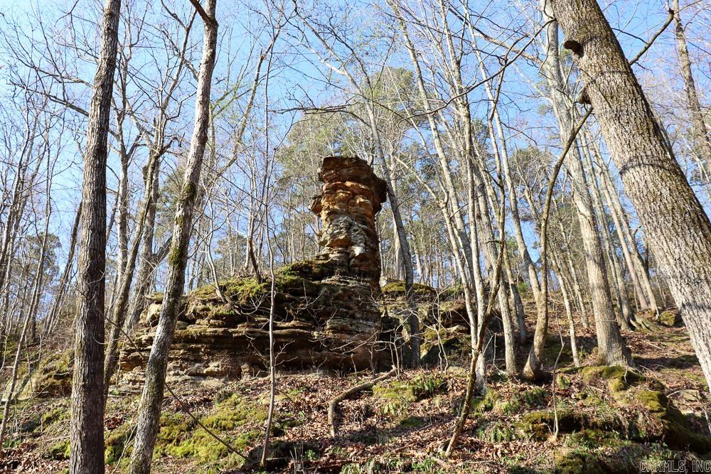 Photo 39 - Vacant Land for sale – 0000  Union Hill   Pleasant Plains, AR