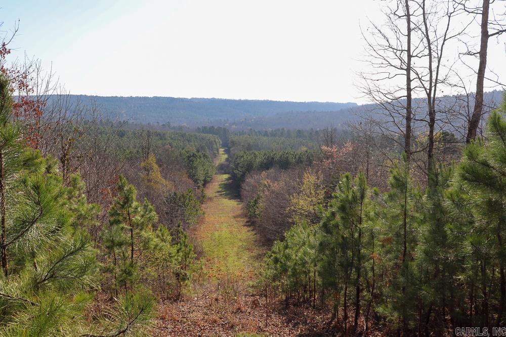 Photo 40 - Vacant Land for sale – 0000  Union Hill   Pleasant Plains, AR