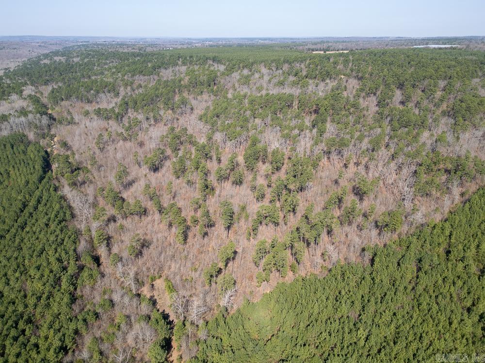 Photo 5 - Vacant Land for sale – 0000  Union Hill   Pleasant Plains, AR