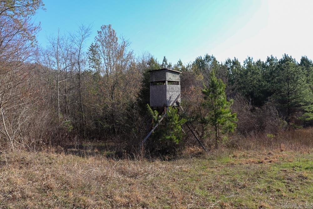 Photo 41 - Vacant Land for sale – 0000  Union Hill   Pleasant Plains, AR