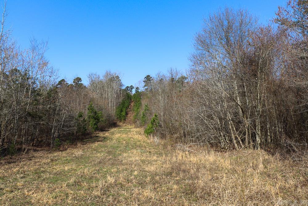 Photo 42 - Vacant Land for sale – 0000  Union Hill   Pleasant Plains, AR
