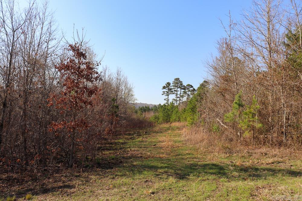 Photo 43 - Vacant Land for sale – 0000  Union Hill   Pleasant Plains, AR