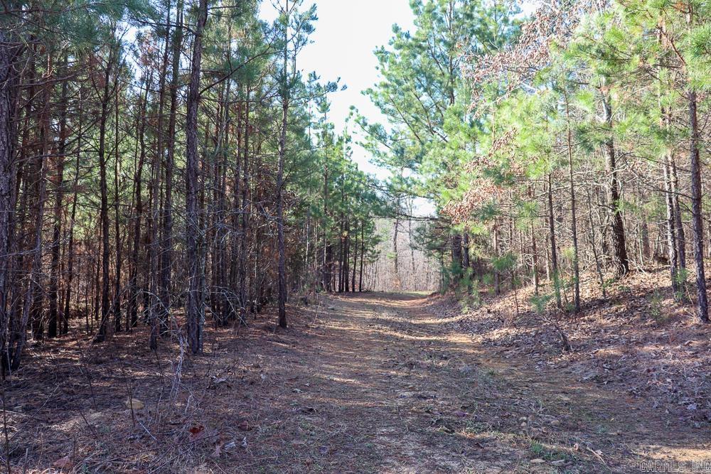 Photo 44 - Vacant Land for sale – 0000  Union Hill   Pleasant Plains, AR