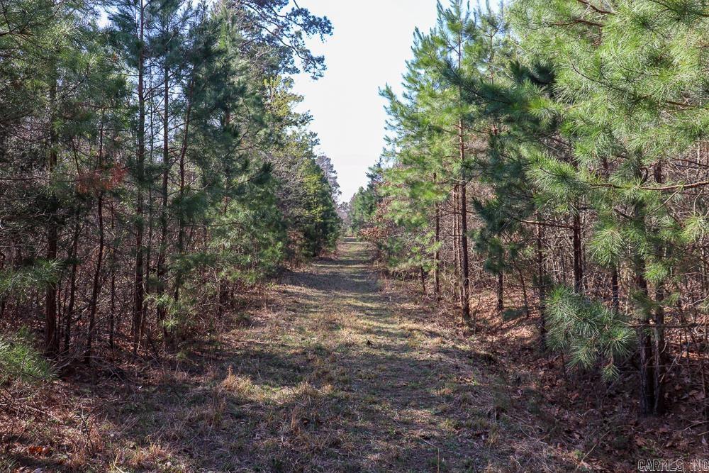 Photo 46 - Vacant Land for sale – 0000  Union Hill   Pleasant Plains, AR