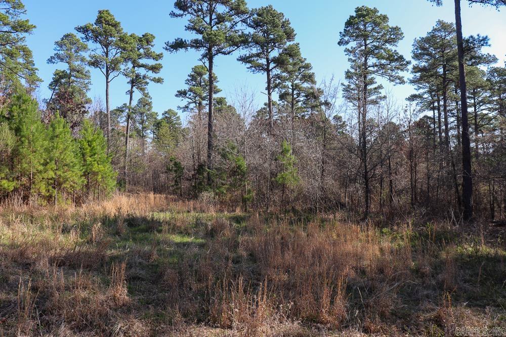 Photo 48 - Vacant Land for sale – 0000  Union Hill   Pleasant Plains, AR