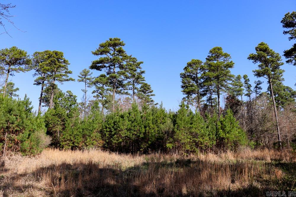 Photo 49 - Vacant Land for sale – 0000  Union Hill   Pleasant Plains, AR