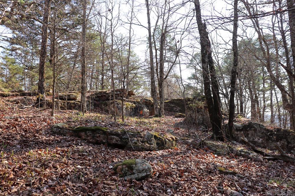 Photo 50 - Vacant Land for sale – 0000  Union Hill   Pleasant Plains, AR