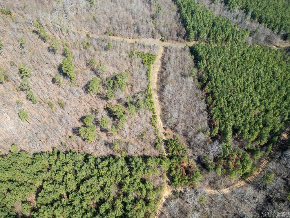 Photo 6 - Vacant Land for sale – 0000  Union Hill   Pleasant Plains, AR