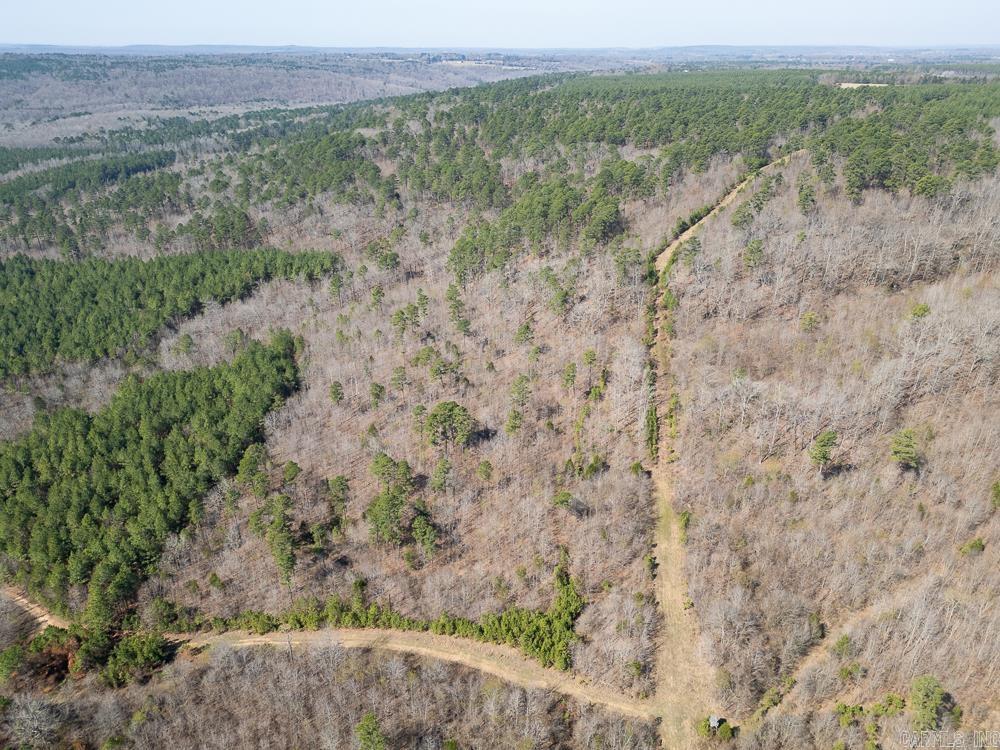 Photo 7 - Vacant Land for sale – 0000  Union Hill   Pleasant Plains, AR