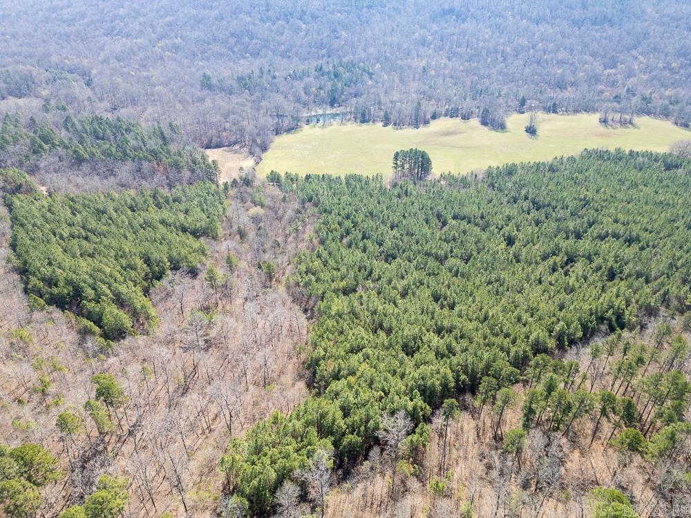 Photo 8 - Vacant Land for sale – 0000  Union Hill   Pleasant Plains, AR