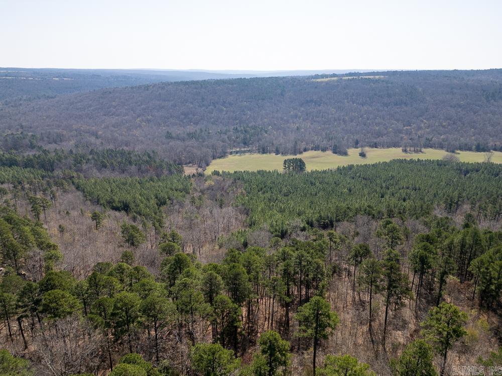Photo 9 - Vacant Land for sale – 0000  Union Hill   Pleasant Plains, AR