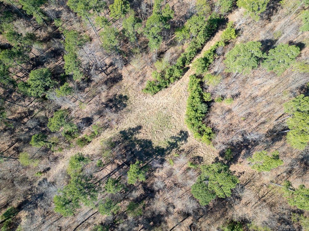 Photo 10 - Vacant Land for sale – 0000  Union Hill   Pleasant Plains, AR