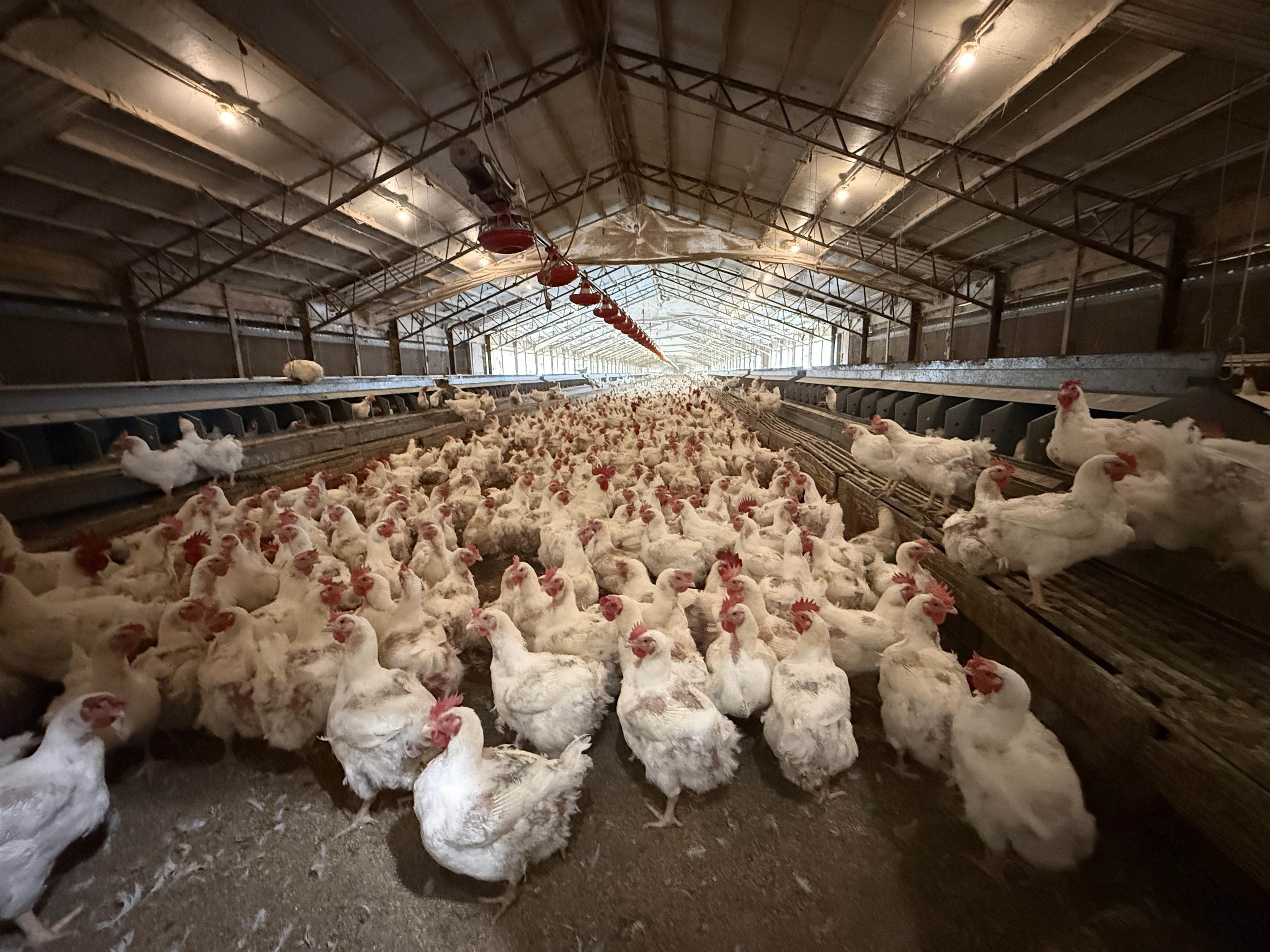 Photo 11 - Residential for sale – 395  Lee   Evening Shade, AR