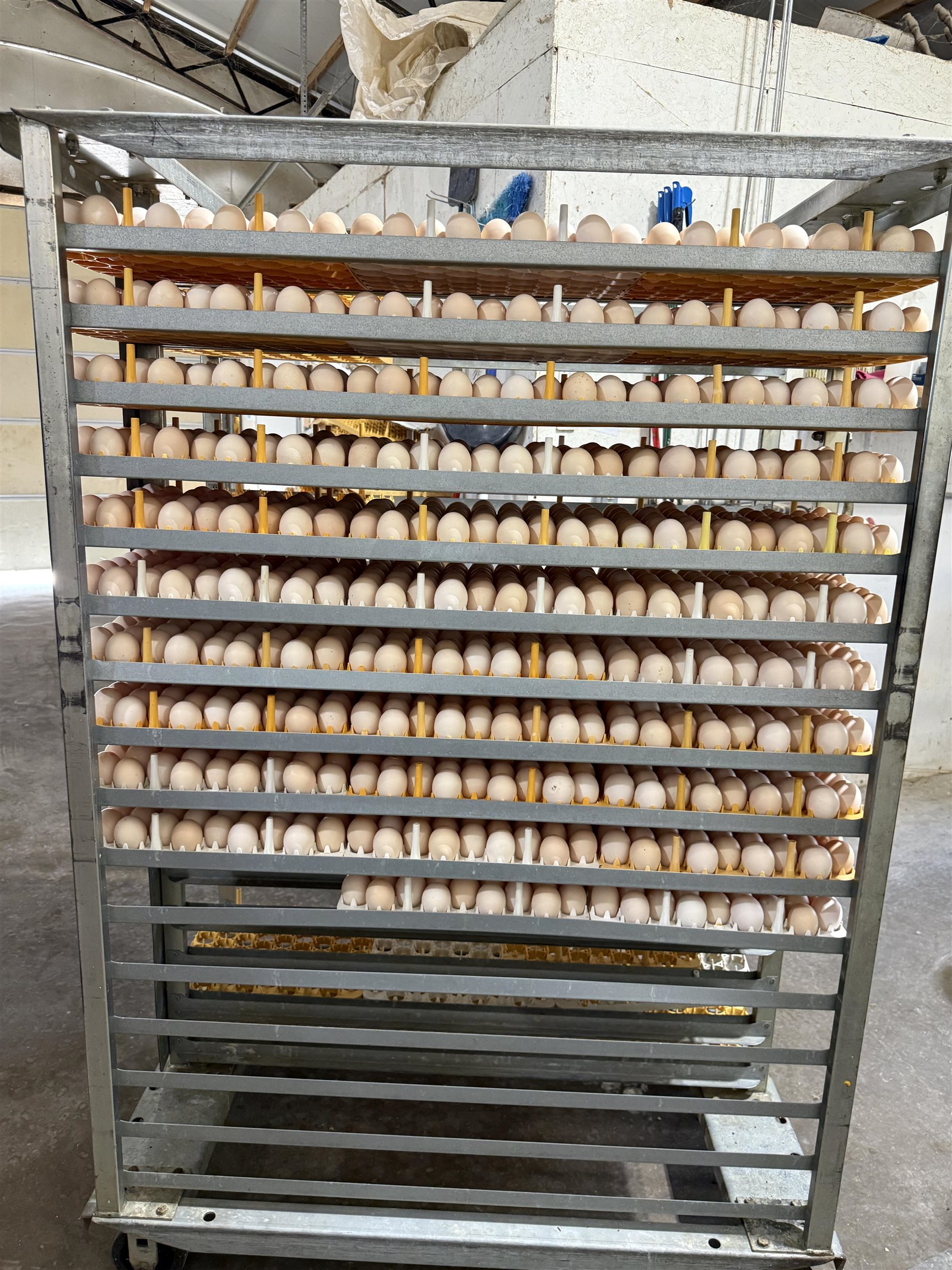 Photo 12 - Residential for sale – 395  Lee   Evening Shade, AR