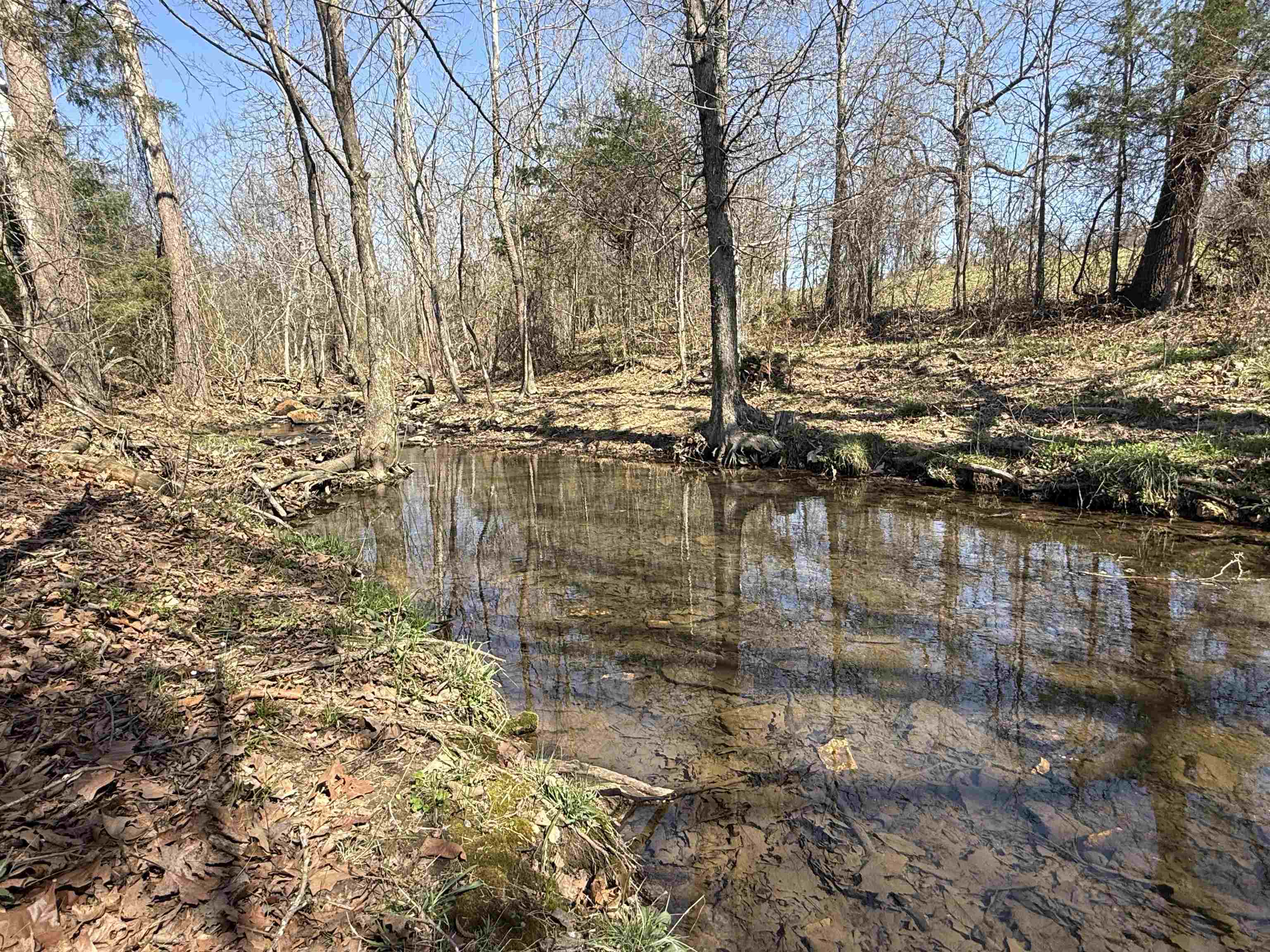 Photo 5 - Residential for sale – 395  Lee   Evening Shade, AR