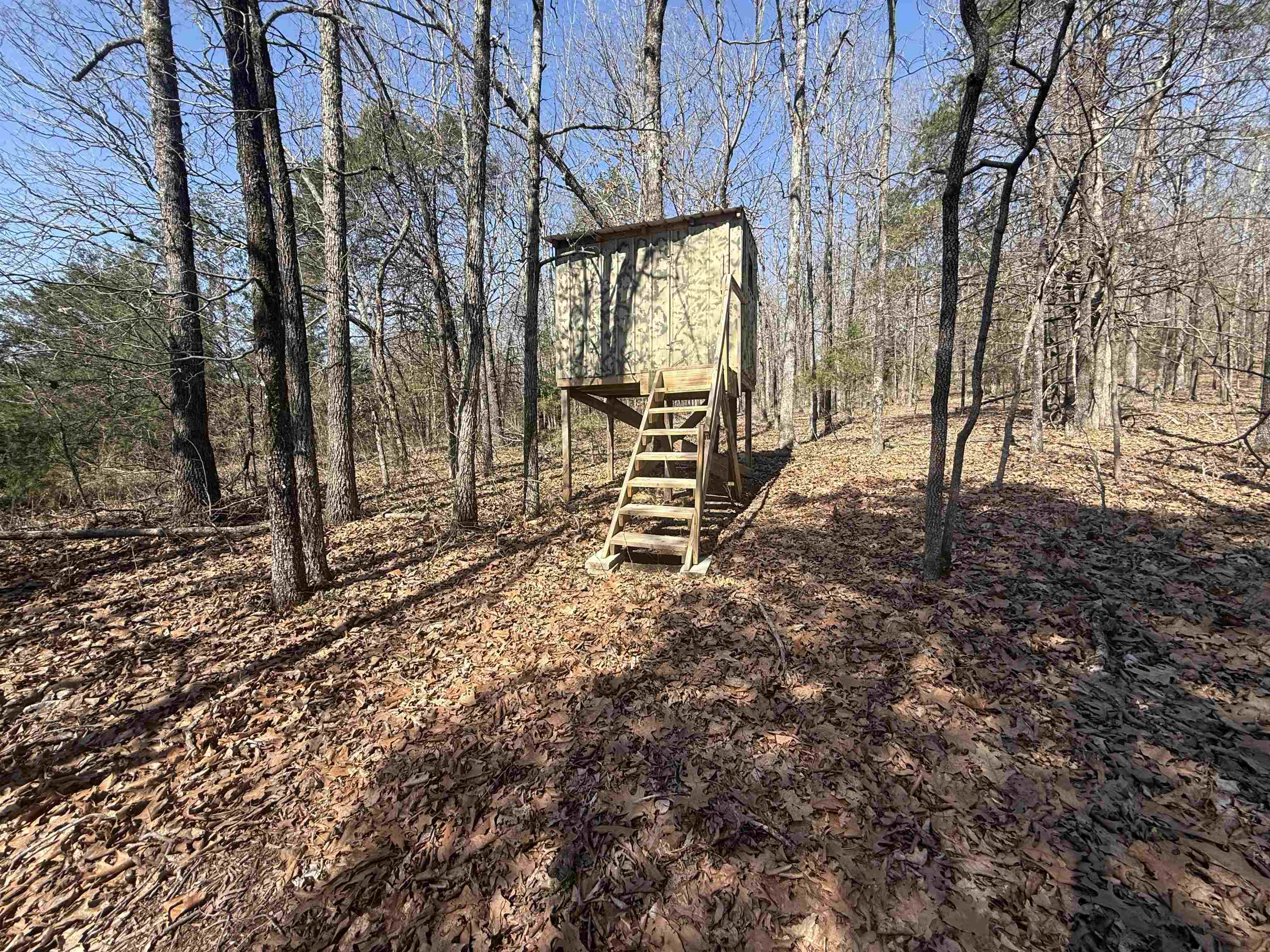 Photo 6 - Residential for sale – 395  Lee   Evening Shade, AR