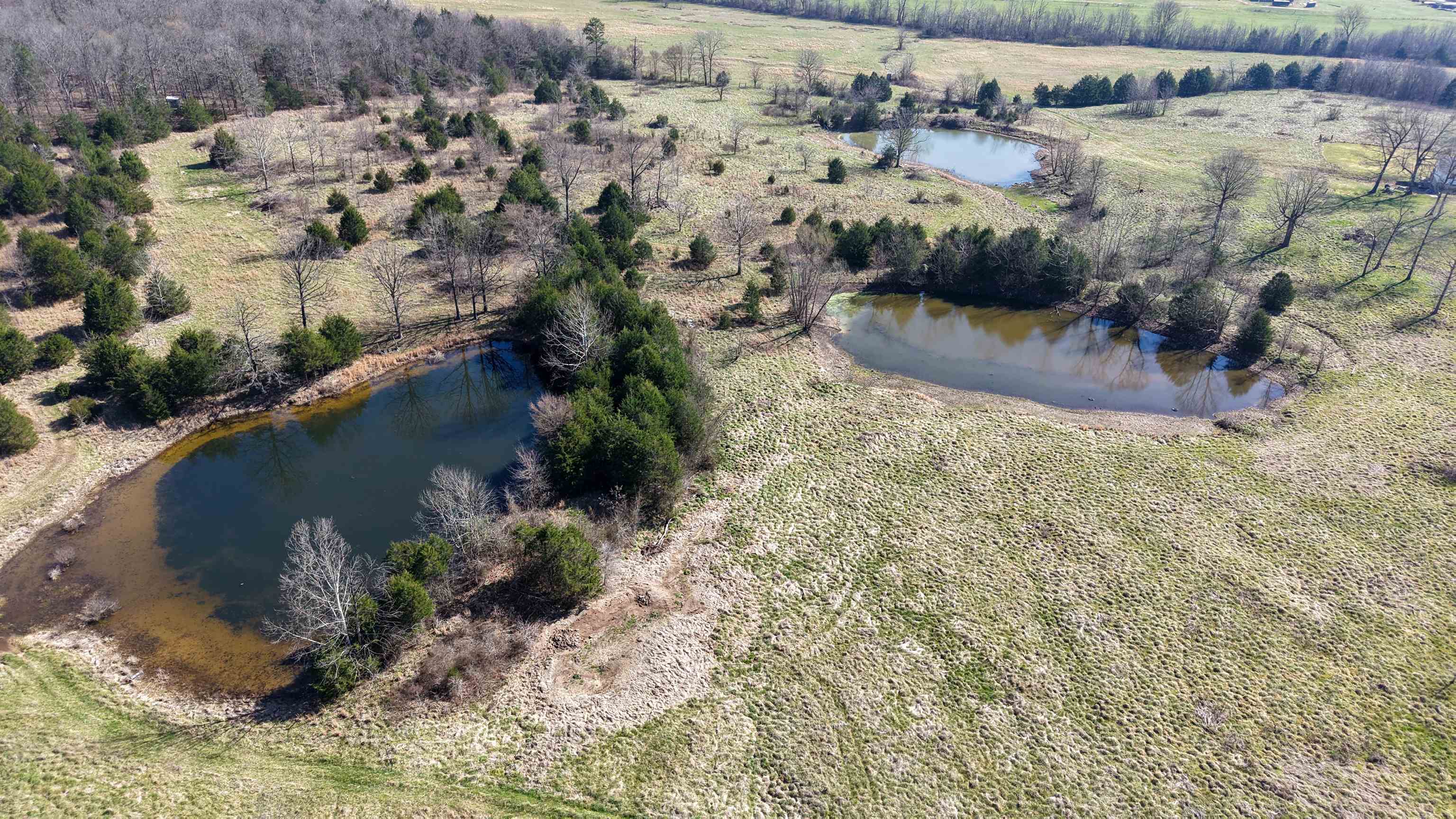 Photo 9 - Residential for sale – 395  Lee   Evening Shade, AR