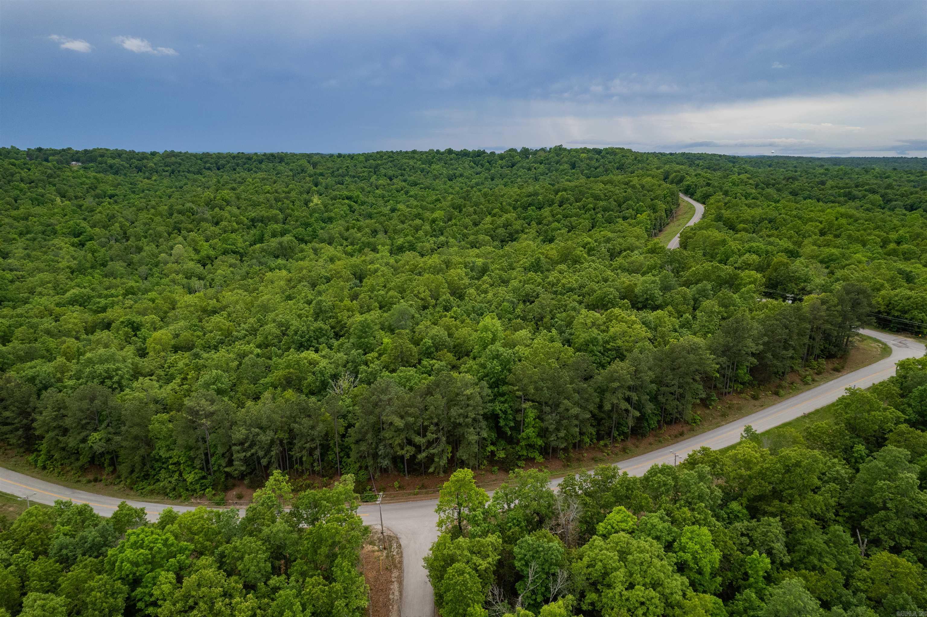 Photo 4 - Vacant Land for sale – 1730  Onaga   Hardy, AR