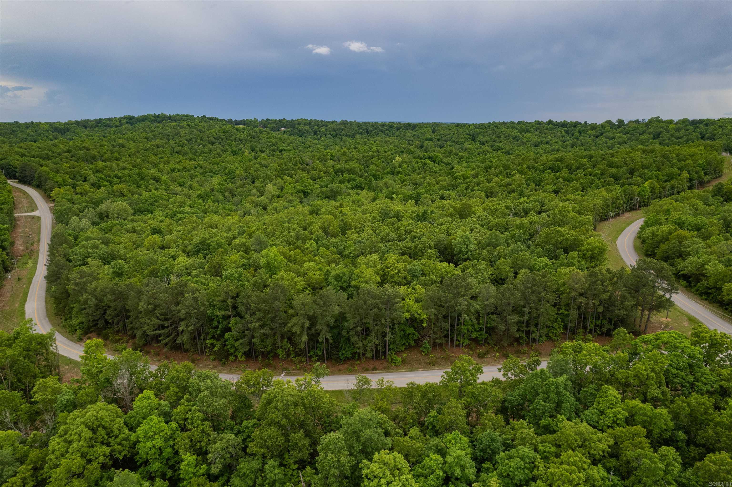 Photo 5 - Vacant Land for sale – 1730  Onaga   Hardy, AR