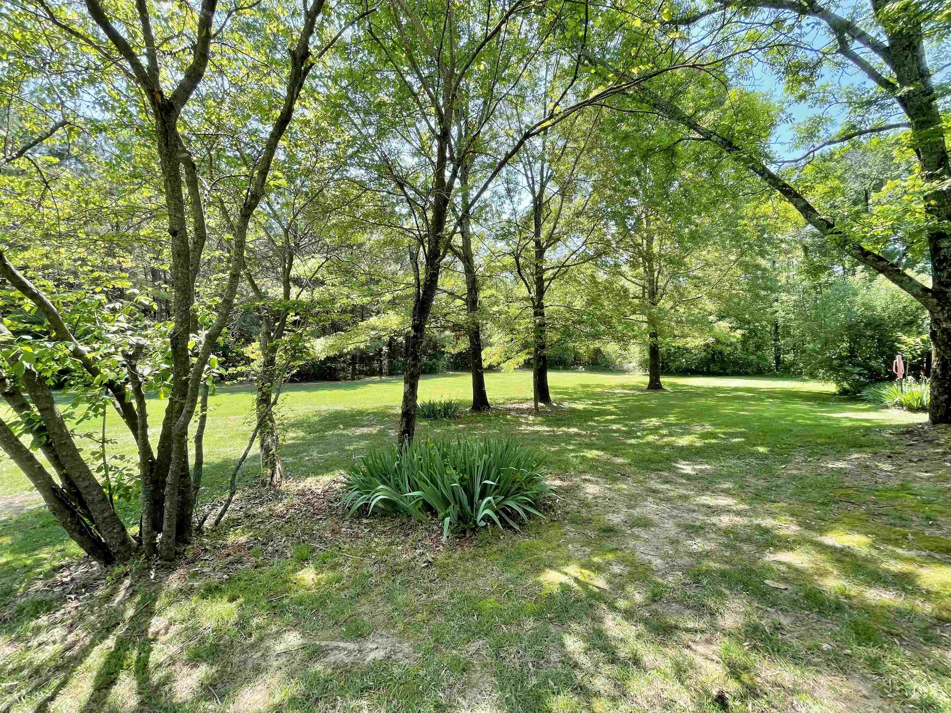 Photo 46 - Residential for sale – 157 N Spring Street   Melbourne, AR