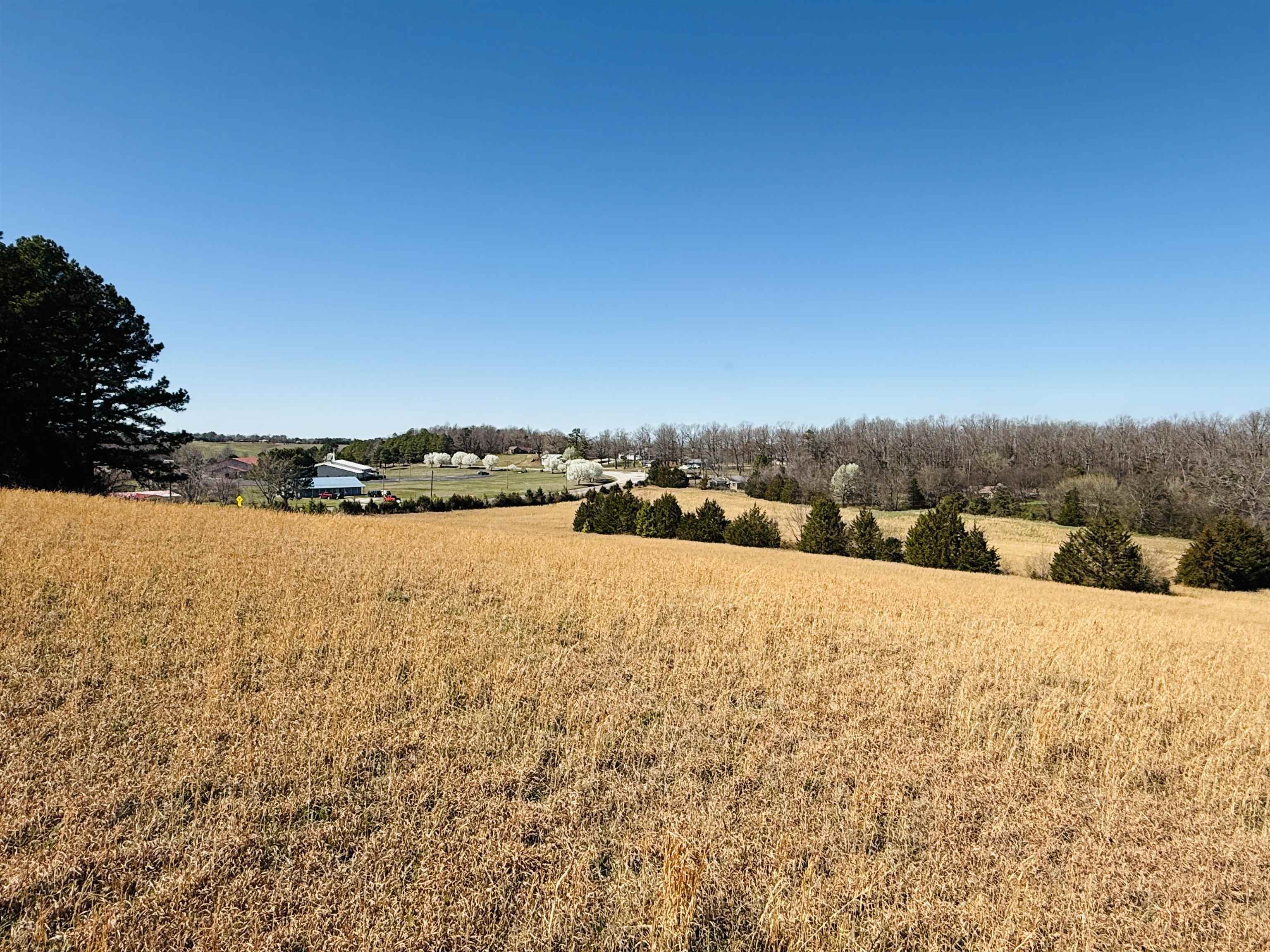Photo 2 - Vacant Land for sale – 10D  Hwy 58 E   Melbourne, AR