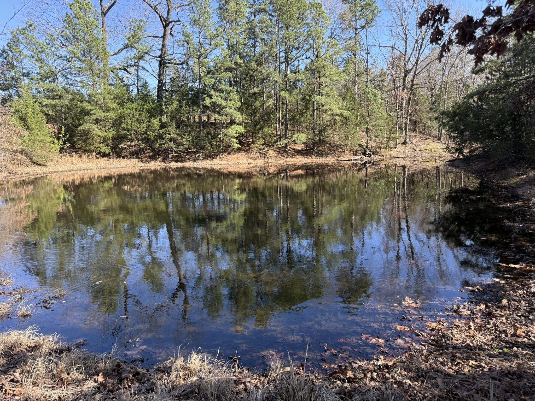 Photo 2 - Vacant Land for sale – 20B  Highway 58 East   Melbourne, AR