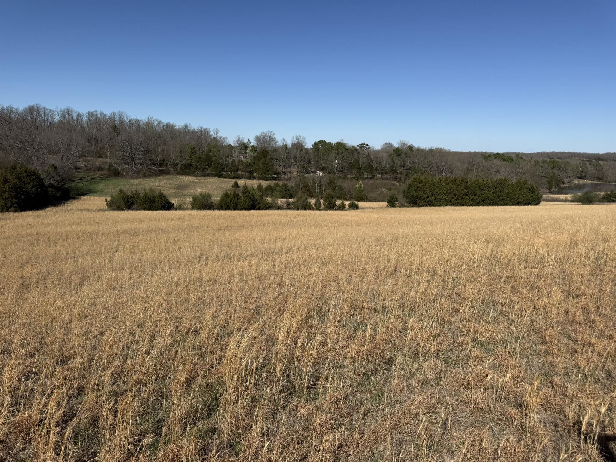 Photo 11 - Vacant Land for sale – 20B  Highway 58 East   Melbourne, AR