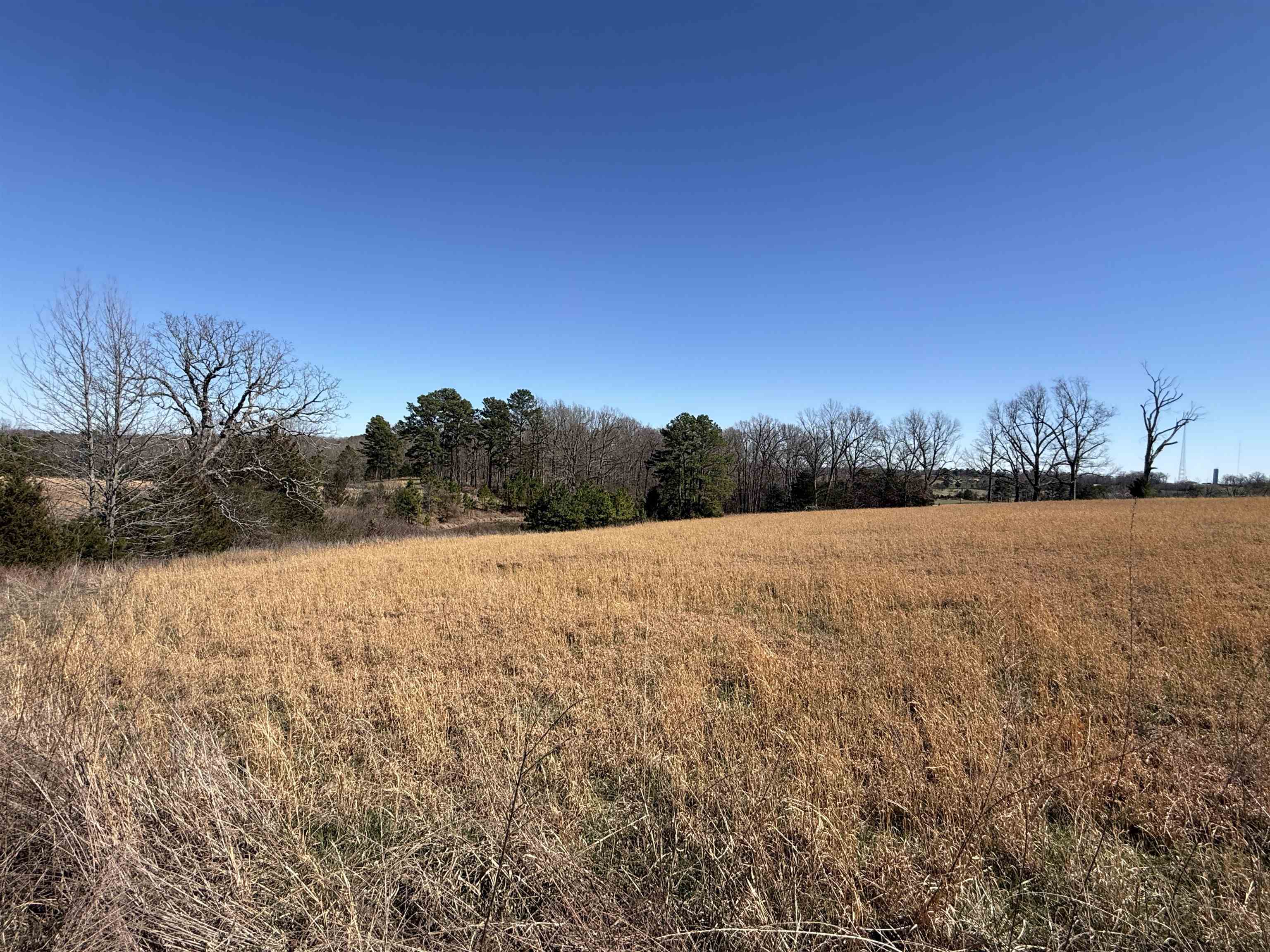 Photo 5 - Vacant Land for sale – 20B  Highway 58 East   Melbourne, AR