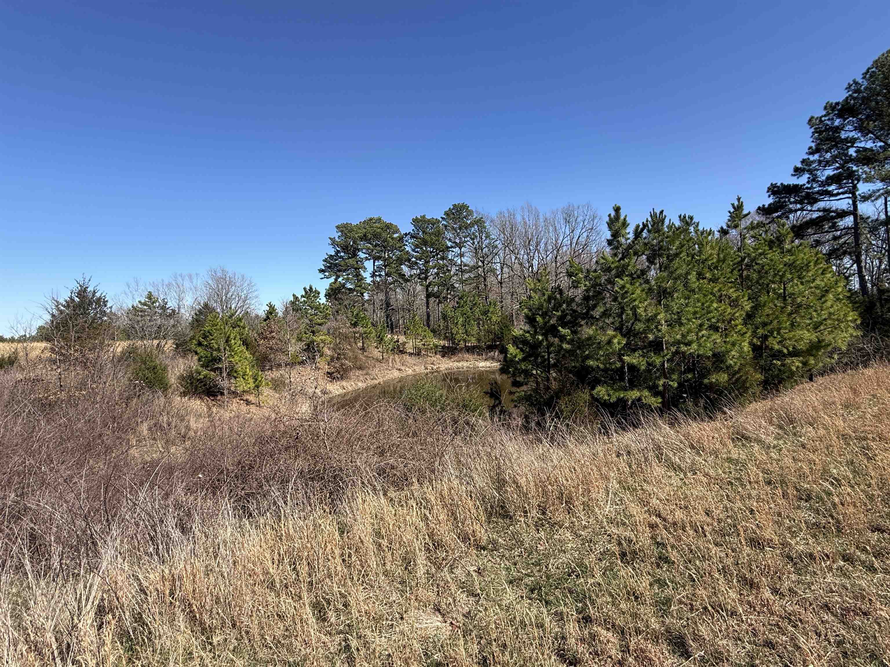 Photo 6 - Vacant Land for sale – 20B  Highway 58 East   Melbourne, AR