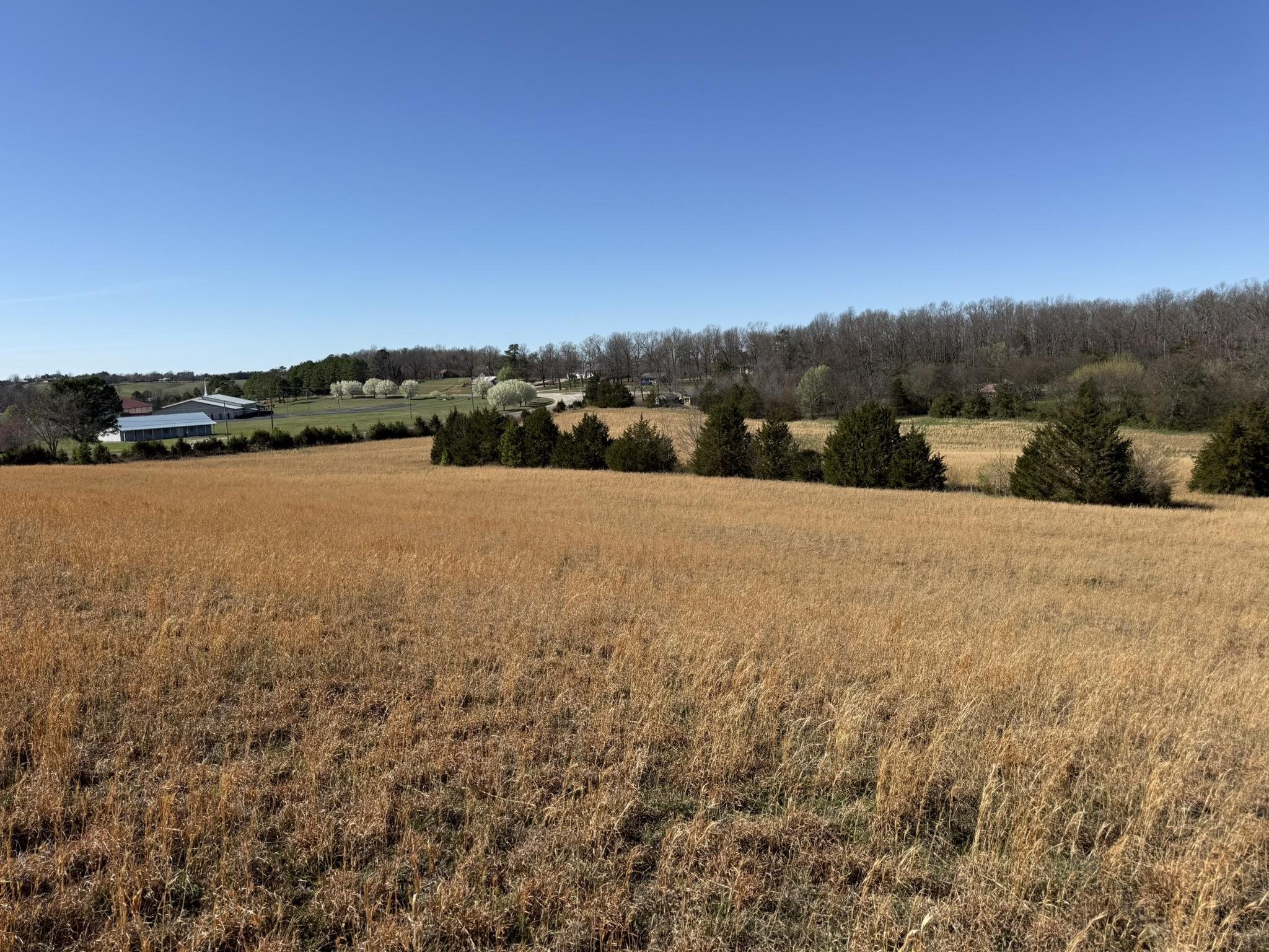 Photo 7 - Vacant Land for sale – 20B  Highway 58 East   Melbourne, AR