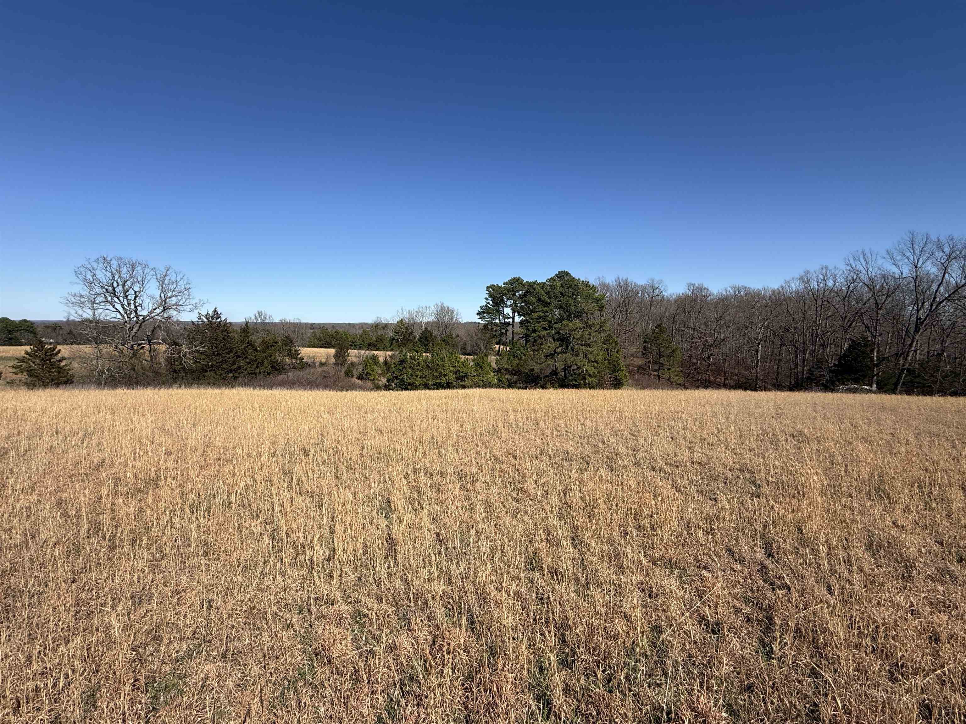 Photo 8 - Vacant Land for sale – 20B  Highway 58 East   Melbourne, AR
