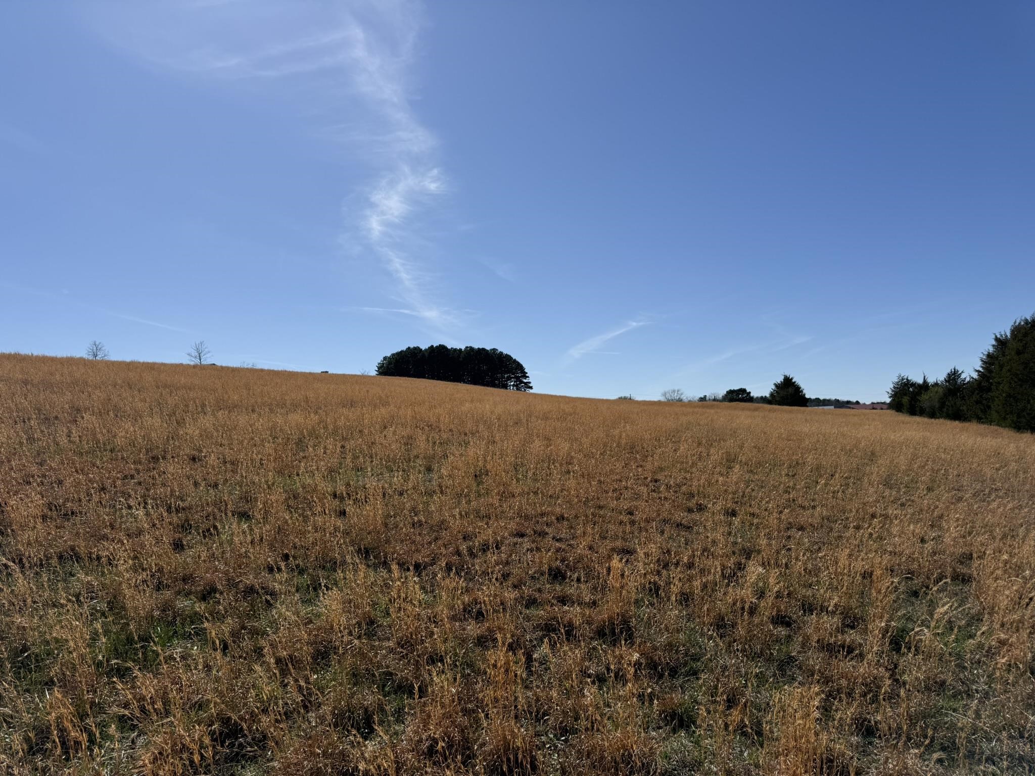 Photo 9 - Vacant Land for sale – 20B  Highway 58 East   Melbourne, AR